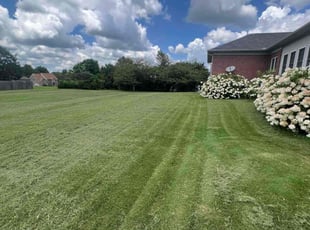 John E.'s lawn service service result