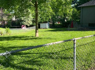 Leyna A.'s turf care service result