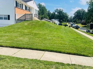 Chandra T.'s lawn care services service result