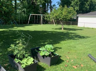 Larry M.'s lawn care service result