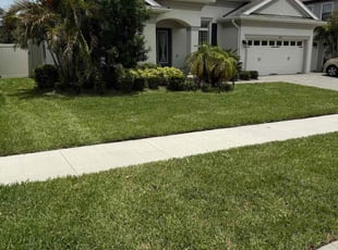 Brenna B.'s turf maintenance service result