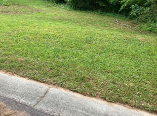 Joseph W.'s lawn care services service result