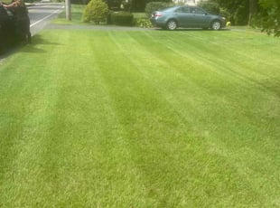 Tin M.'s lawn service service result