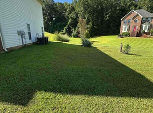 Jacque B.'s grass cutting service result