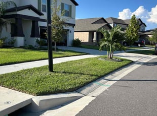 Char J.'s turf maintenance service result