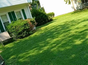 Ron K.'s grass maintenance service result