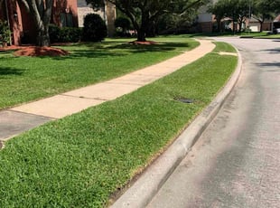 Barbara O.'s lawn service service result