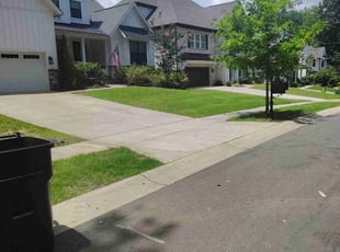 Sandy G.'s lawn maintenance service result