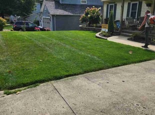 Peggy C.'s grass cutting service result