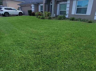 Ashley A.'s turf maintenance service result
