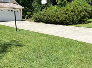 Lisa L.'s lawn care service result