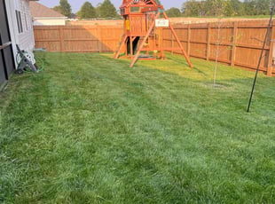 Monica C.'s turf maintenance service result