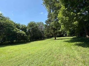 Tina H.'s lawn care services service result