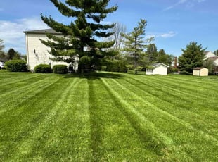 Marcquez F.'s lawn care services service result