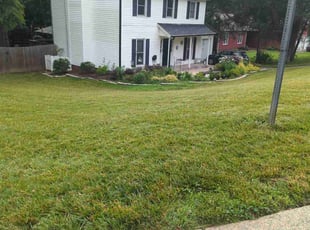 Miranda C.'s grass cutting service result