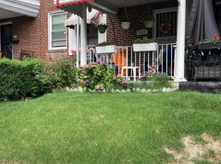 Hikean R.'s lawn service service result