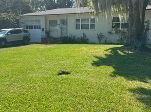 Matt D.'s grass maintenance service result