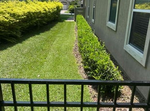 John K.'s lawn care service result