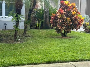 Melissa R.'s grass cutting service result