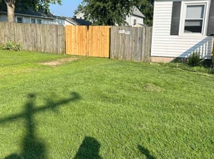 Esther P.'s turf care service result