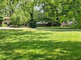 Joyce K.'s grass cutting service result