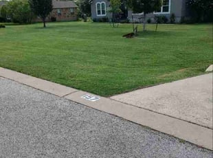 Daphanie D.'s grass maintenance service result