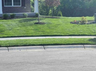 Jennifer C.'s turf care service result