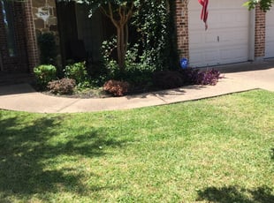 Felece W.'s Bush Trimming service result