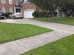 Charlene M.'s turf care service result