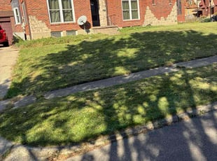 Stephen B.'s turf care service result