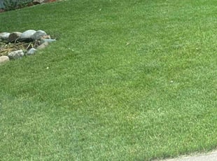 Hassan J.'s lawn care services service result