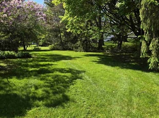 Laurie L.'s lawn care services service result