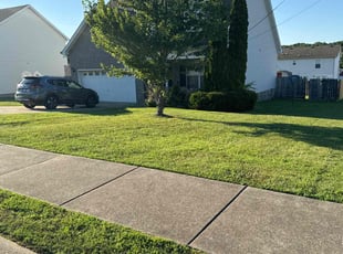 Latika A.'s lawn care service result