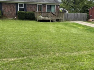 Stephen K.'s Bush Trimming service result