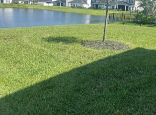 Renee P.'s lawn maintenance service result