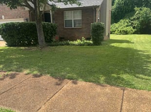 Shannon R.'s lawn service service result