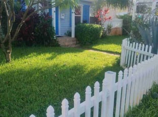 Christina S.'s Bush Trimming service result