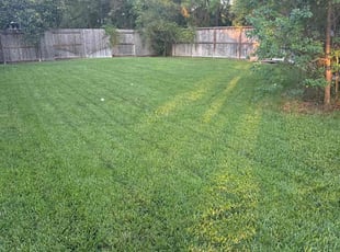 Elda B.'s grass maintenance service result