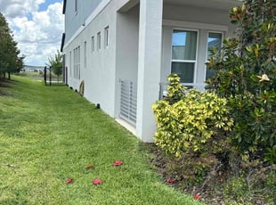 Dana W.'s lawn maintenance service result