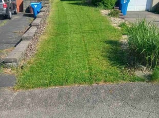 Steve V.'s turf care service result