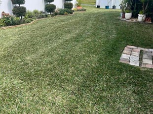 Melissa A.'s lawn care services service result