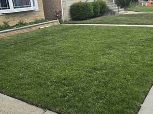 Pedro V.'s lawn care services service result