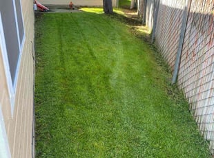 Peggy D.'s lawn maintenance service result