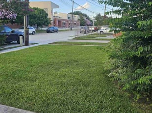 David E.'s turf maintenance service result