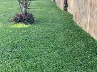 Peter J.'s turf maintenance service result