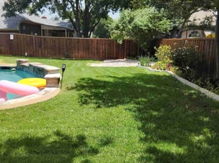 PMI P.'s grass cutting service result