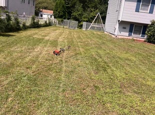 Mr B.'s lawn care service result