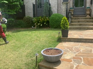Bonnie E.'s Bush Trimming service result