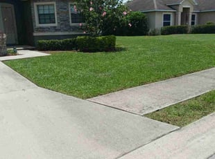 Mandy E.'s turf care service result