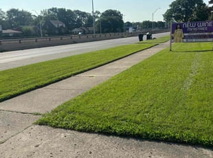 Xana F.'s grass maintenance service result